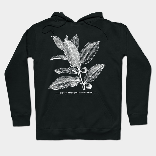Ficus Elastica (Rubber Tree) - White Print